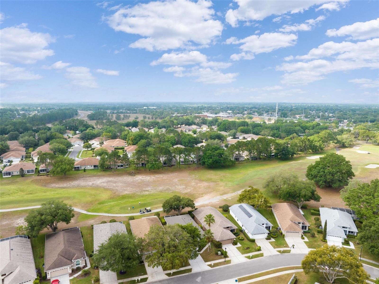 14466 TAMARIND LOOP