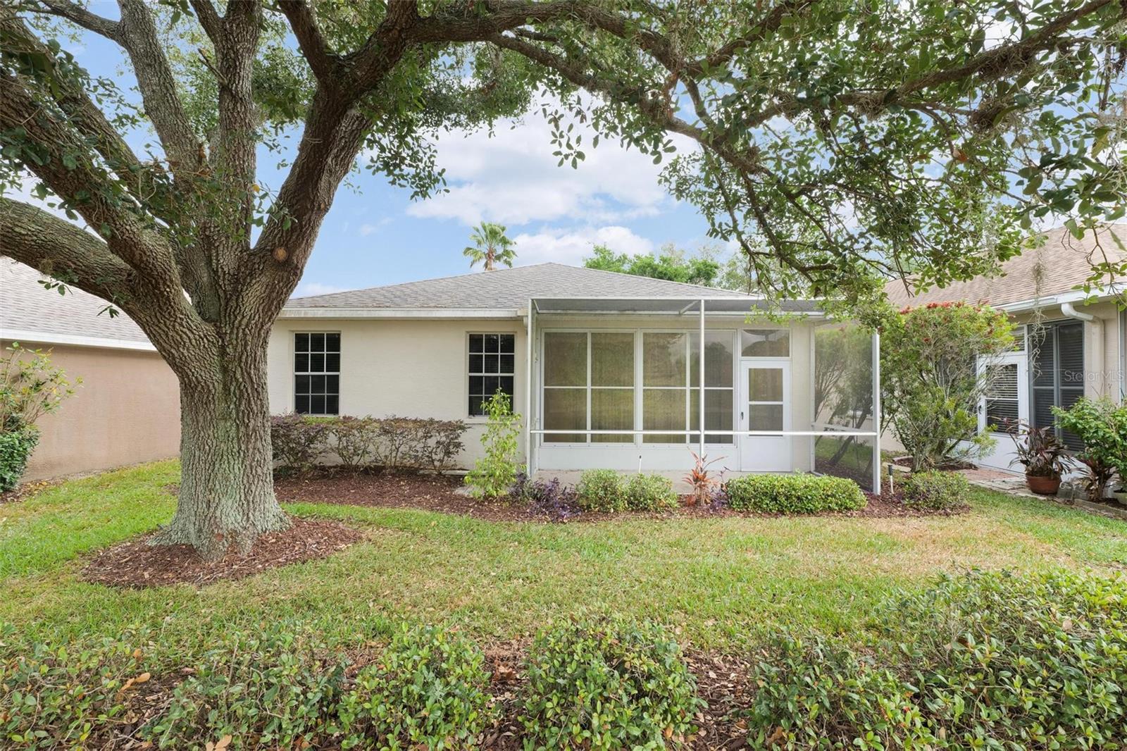 14466 TAMARIND LOOP