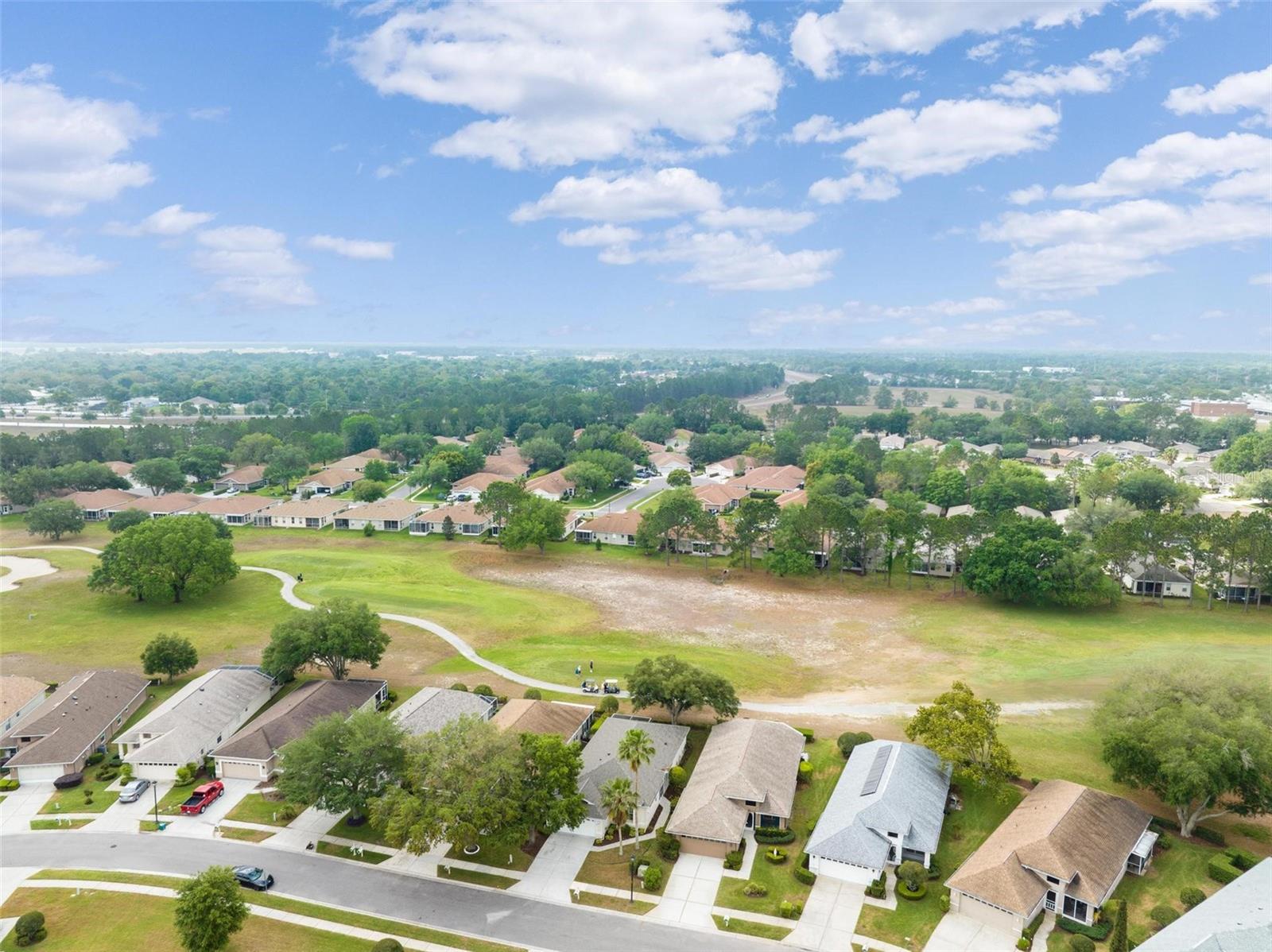 14466 TAMARIND LOOP