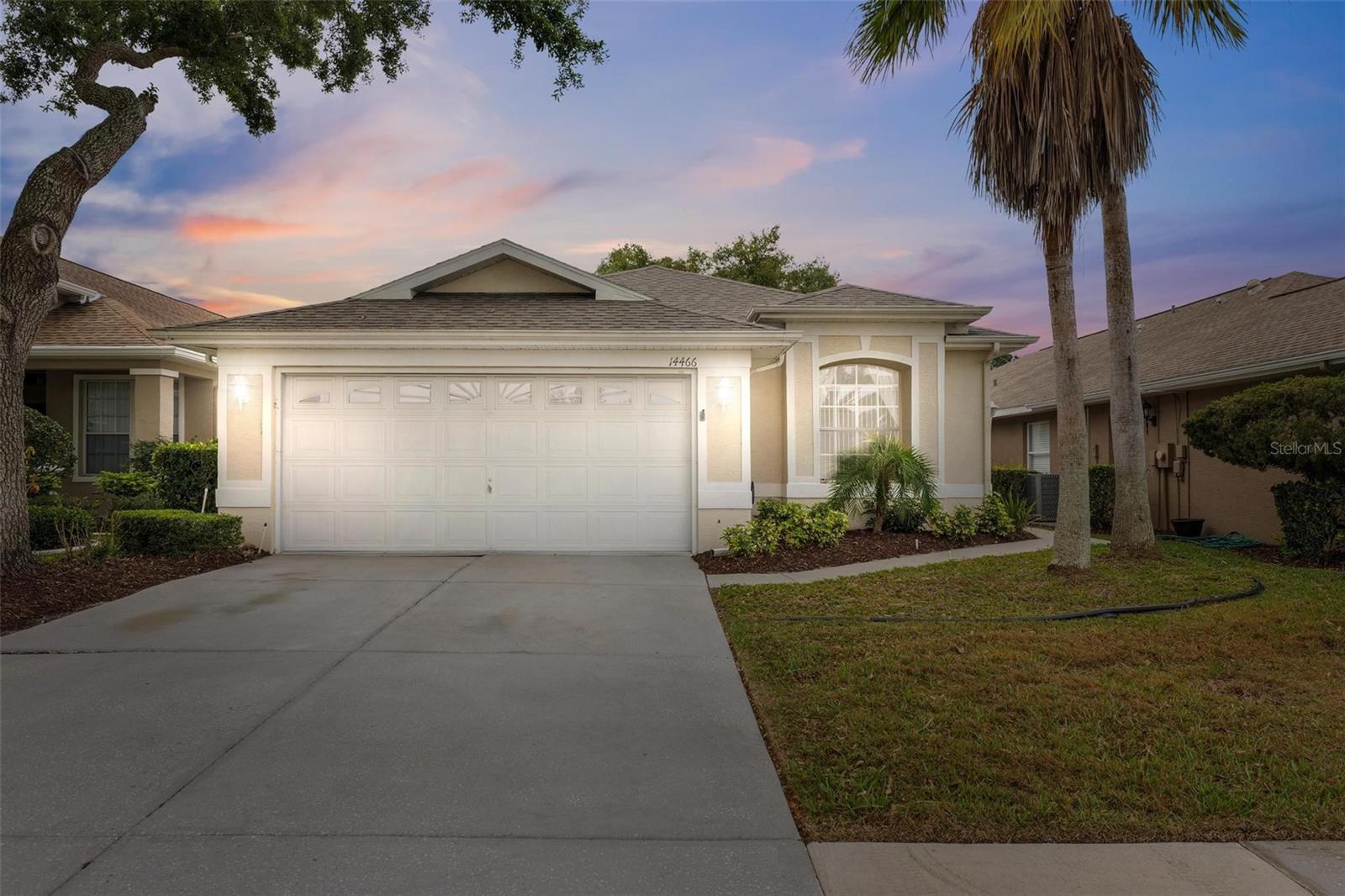14466 TAMARIND LOOP