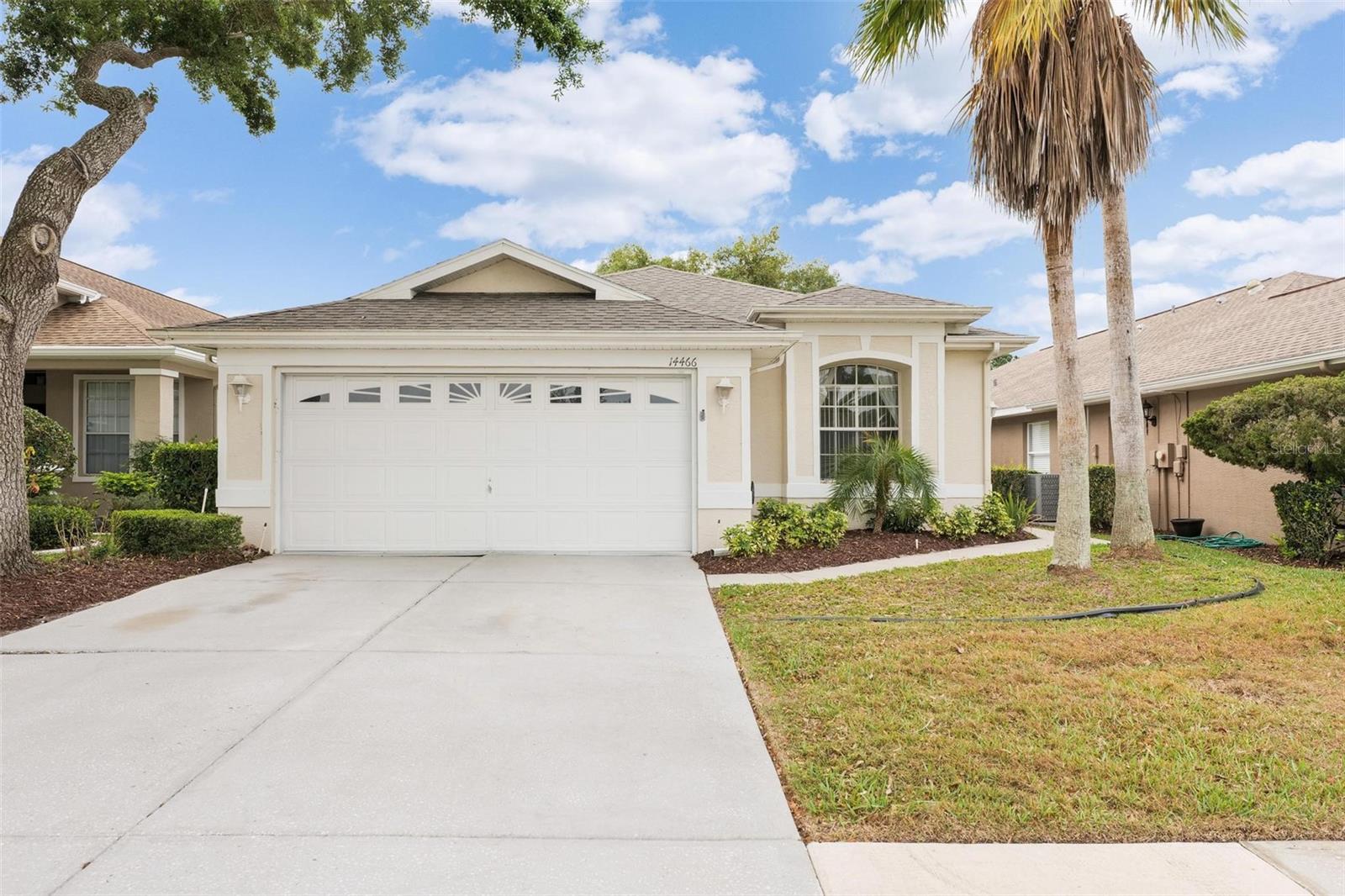 14466 TAMARIND LOOP