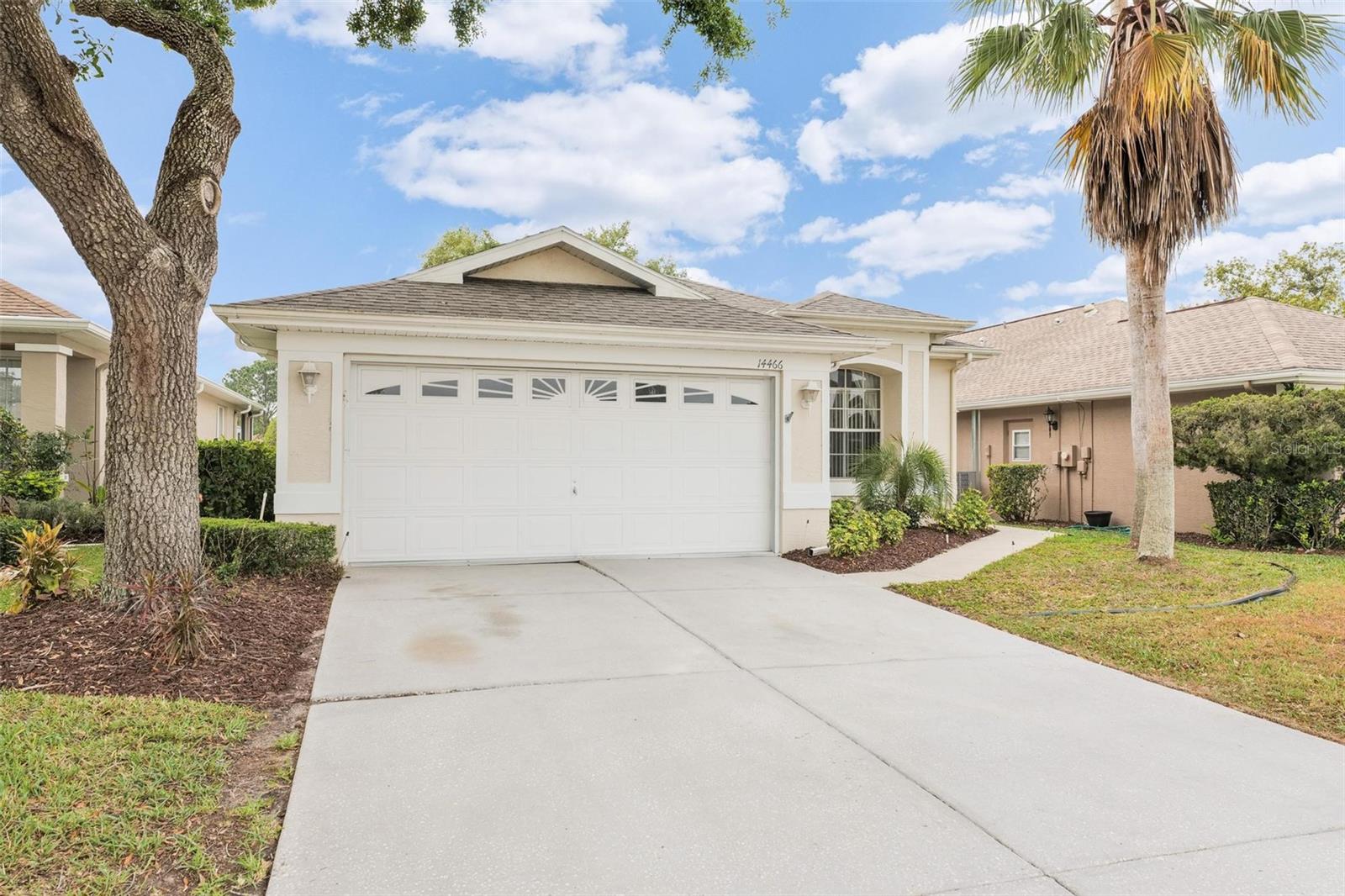 14466 TAMARIND LOOP