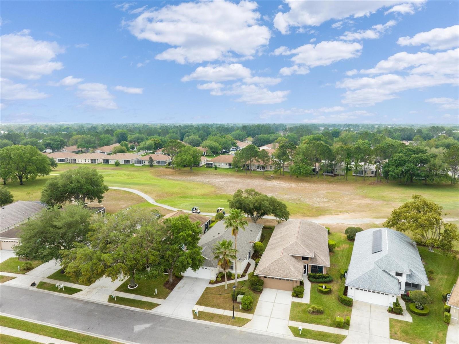 14466 TAMARIND LOOP