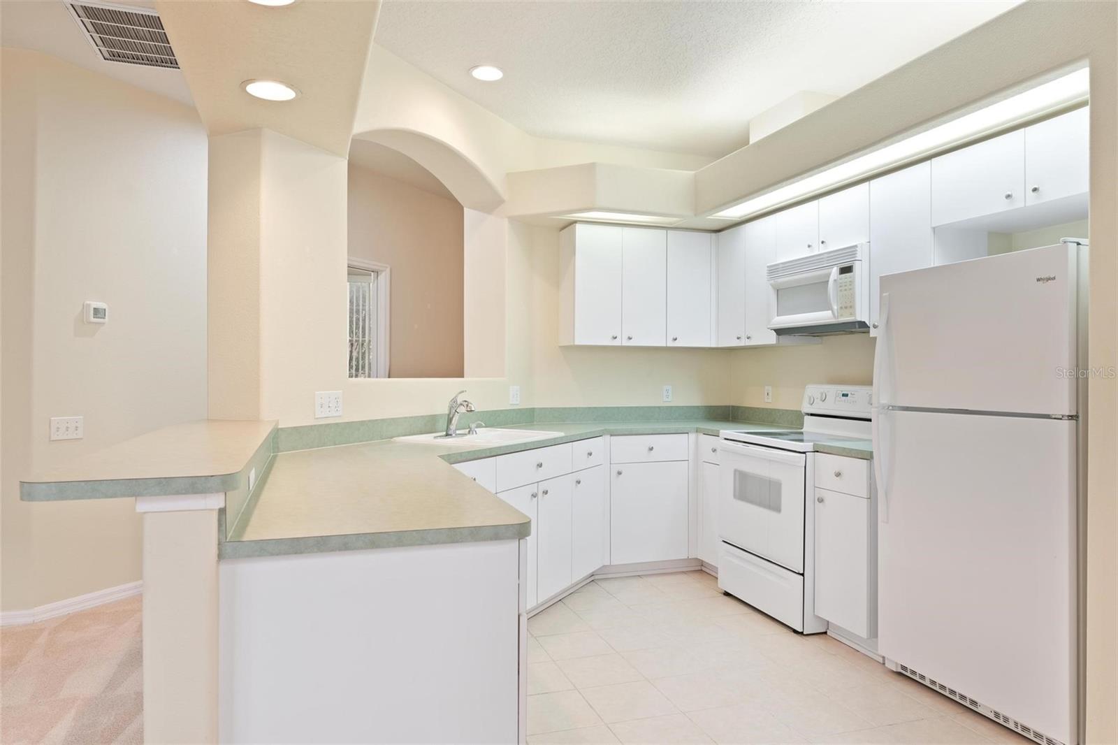 14466 TAMARIND LOOP