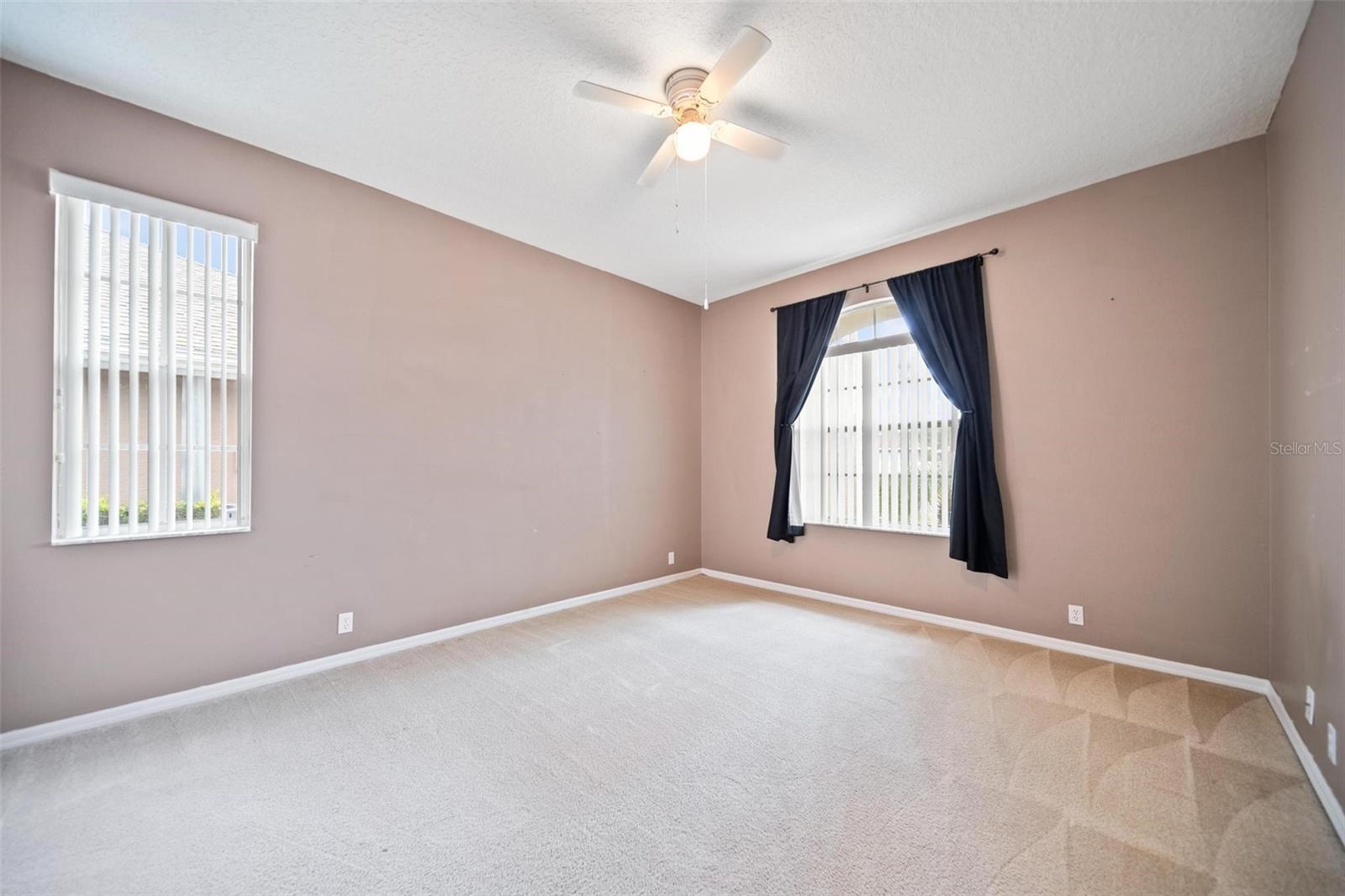 14466 TAMARIND LOOP