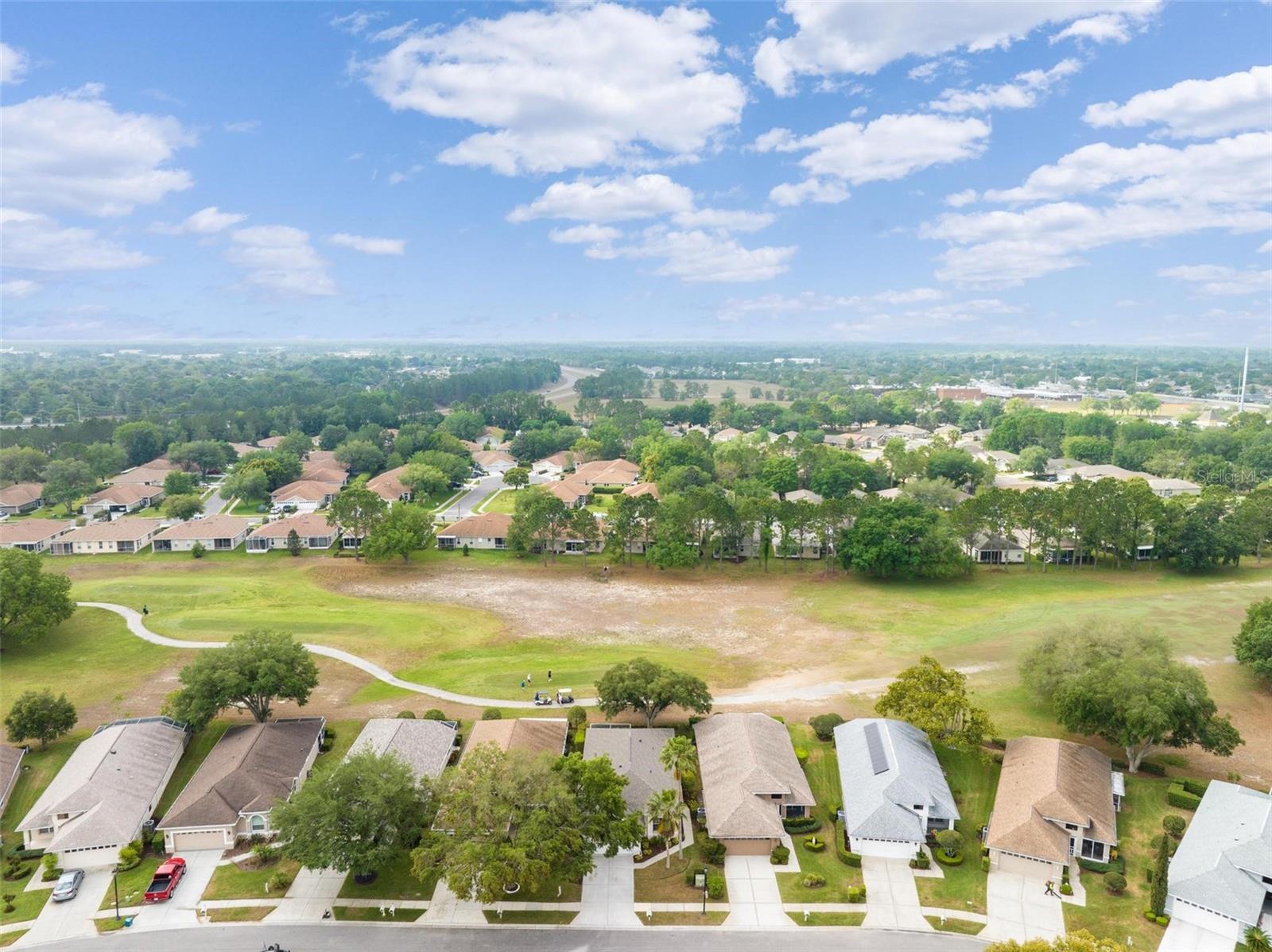 14466 TAMARIND LOOP