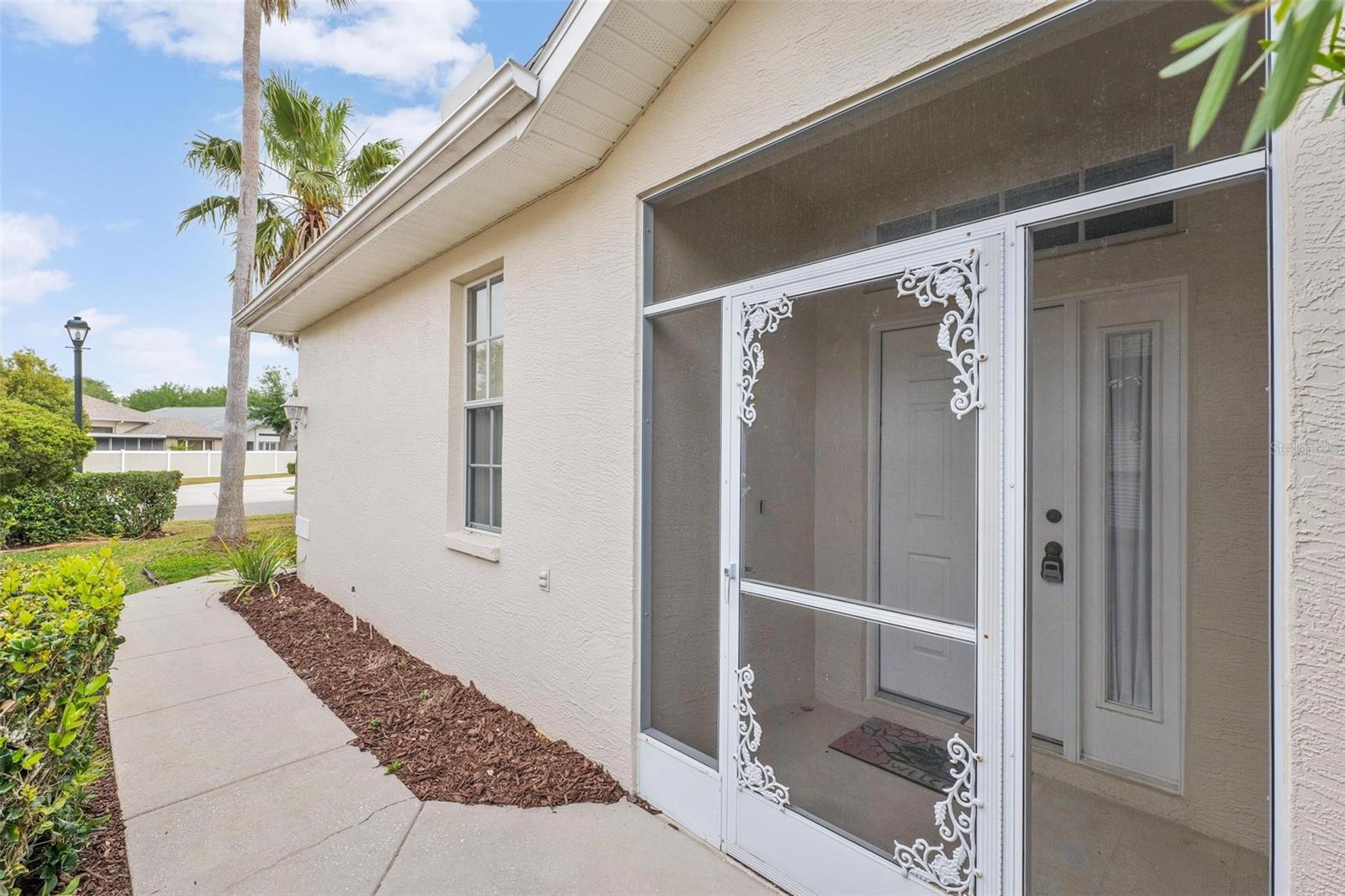 14466 TAMARIND LOOP