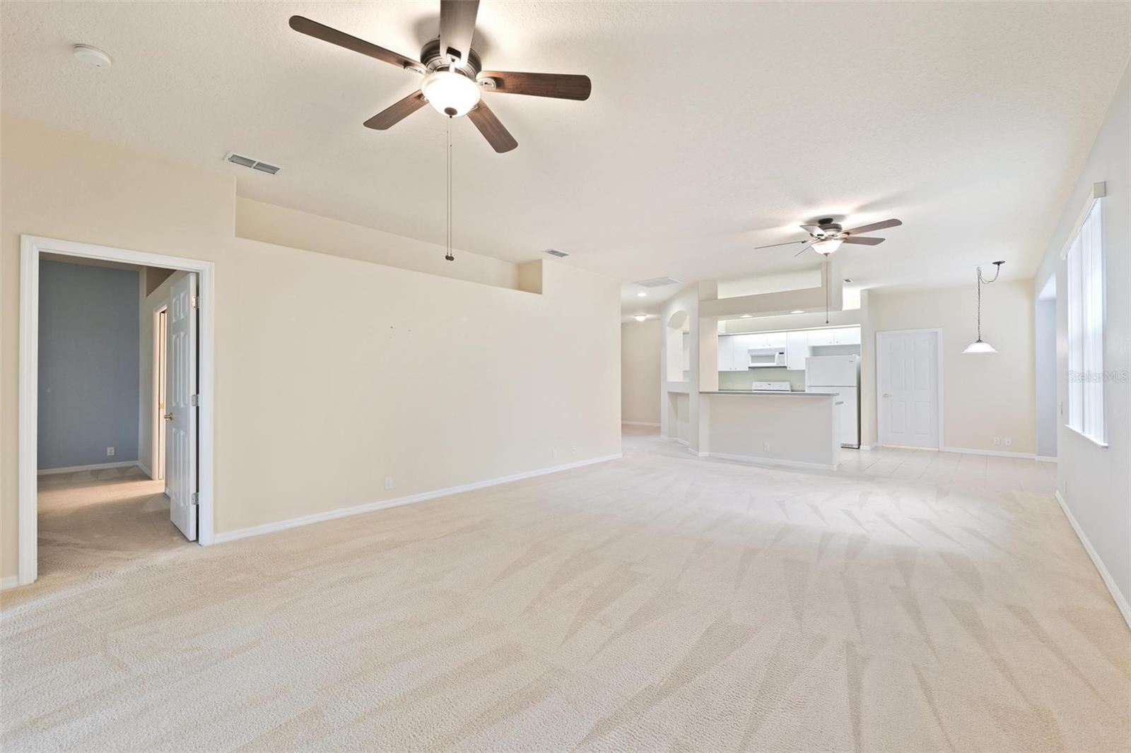 14466 TAMARIND LOOP