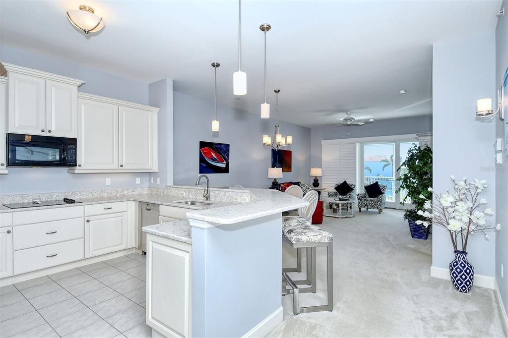 11180 HACIENDA DEL MAR BOULEVARD Unit: 205