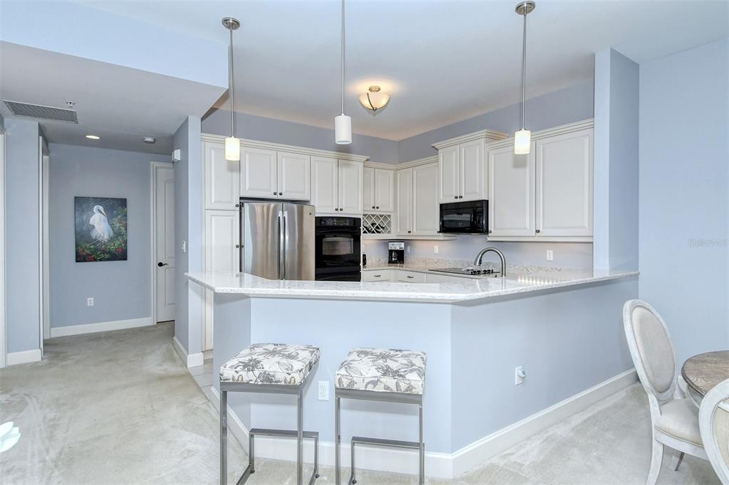 11180 HACIENDA DEL MAR BOULEVARD Unit: 205