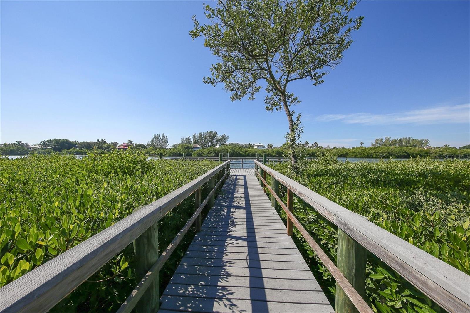 11180 HACIENDA DEL MAR BLVD #C-305