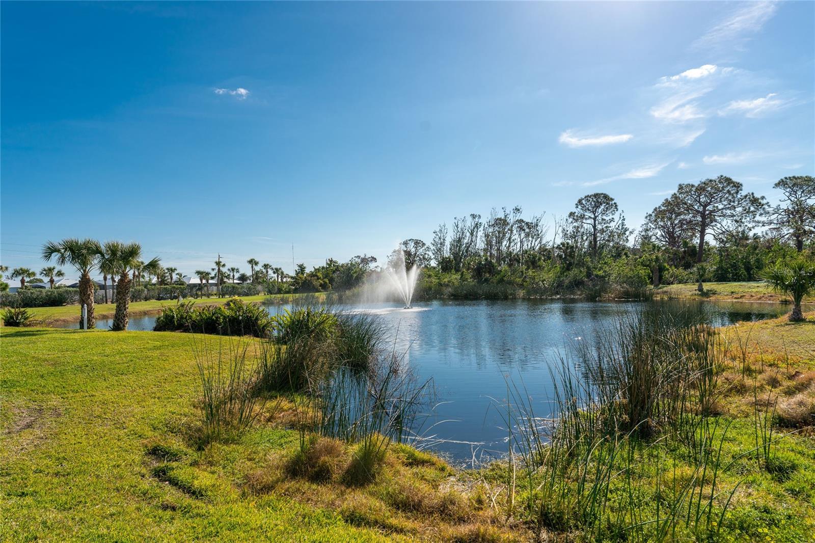 11100 HACIENDA DEL MAR BLVD #202