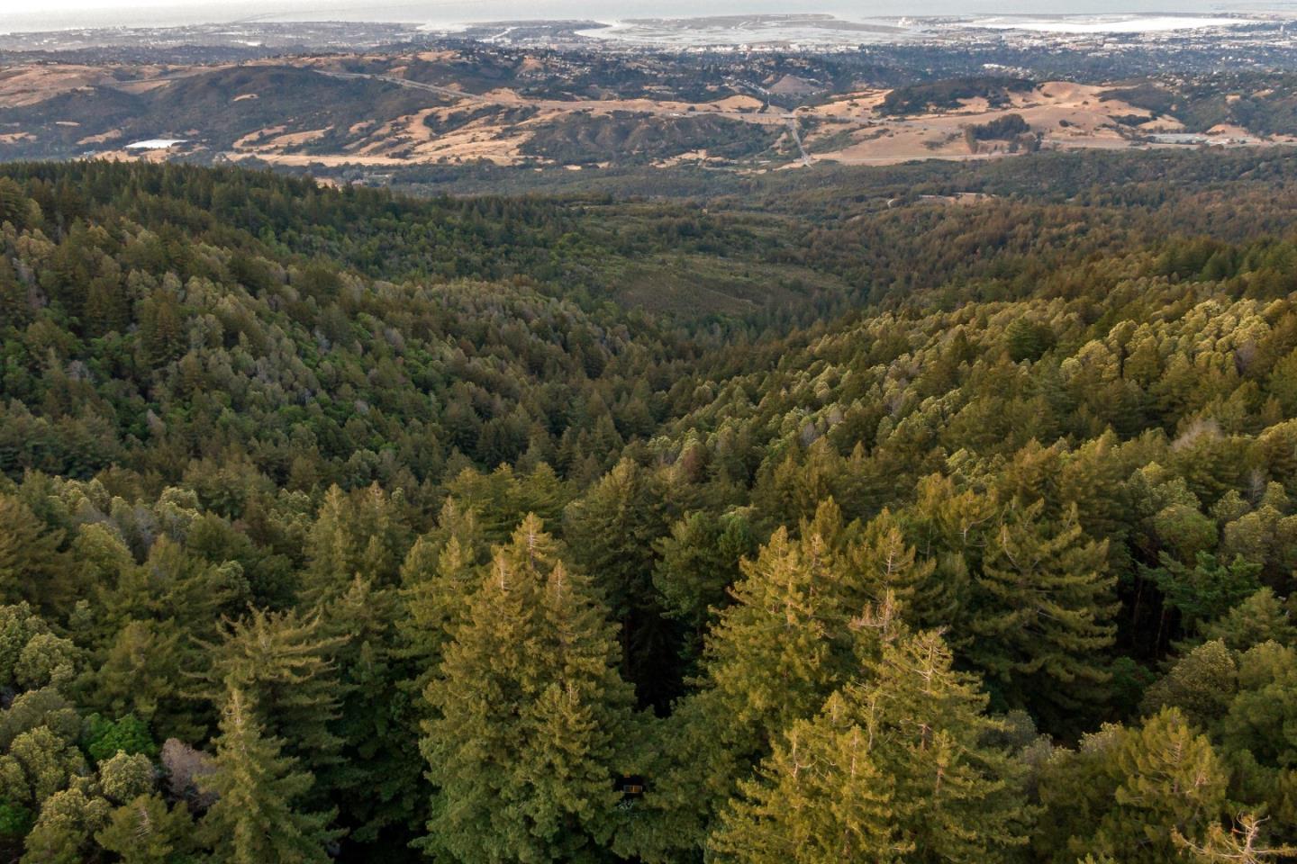 13519 Skyline BLVD