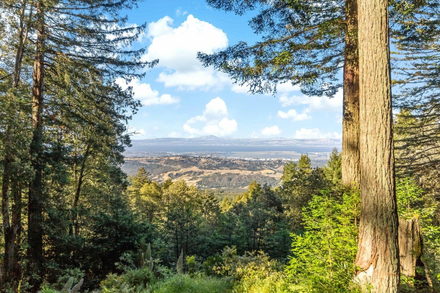 13519 Skyline BLVD