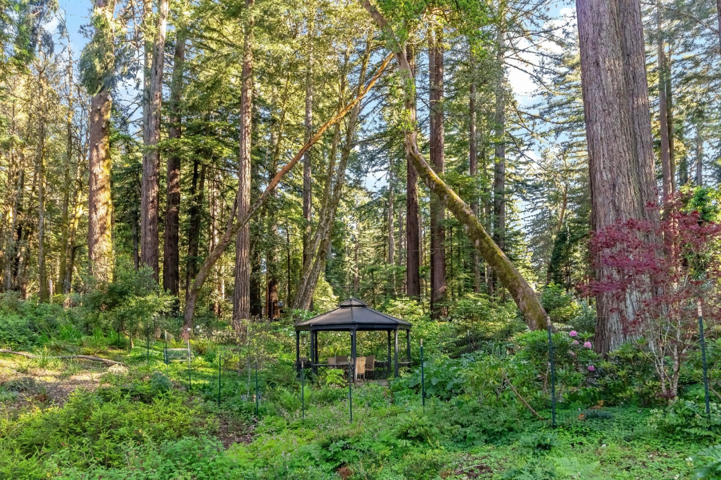 13519 Skyline BLVD