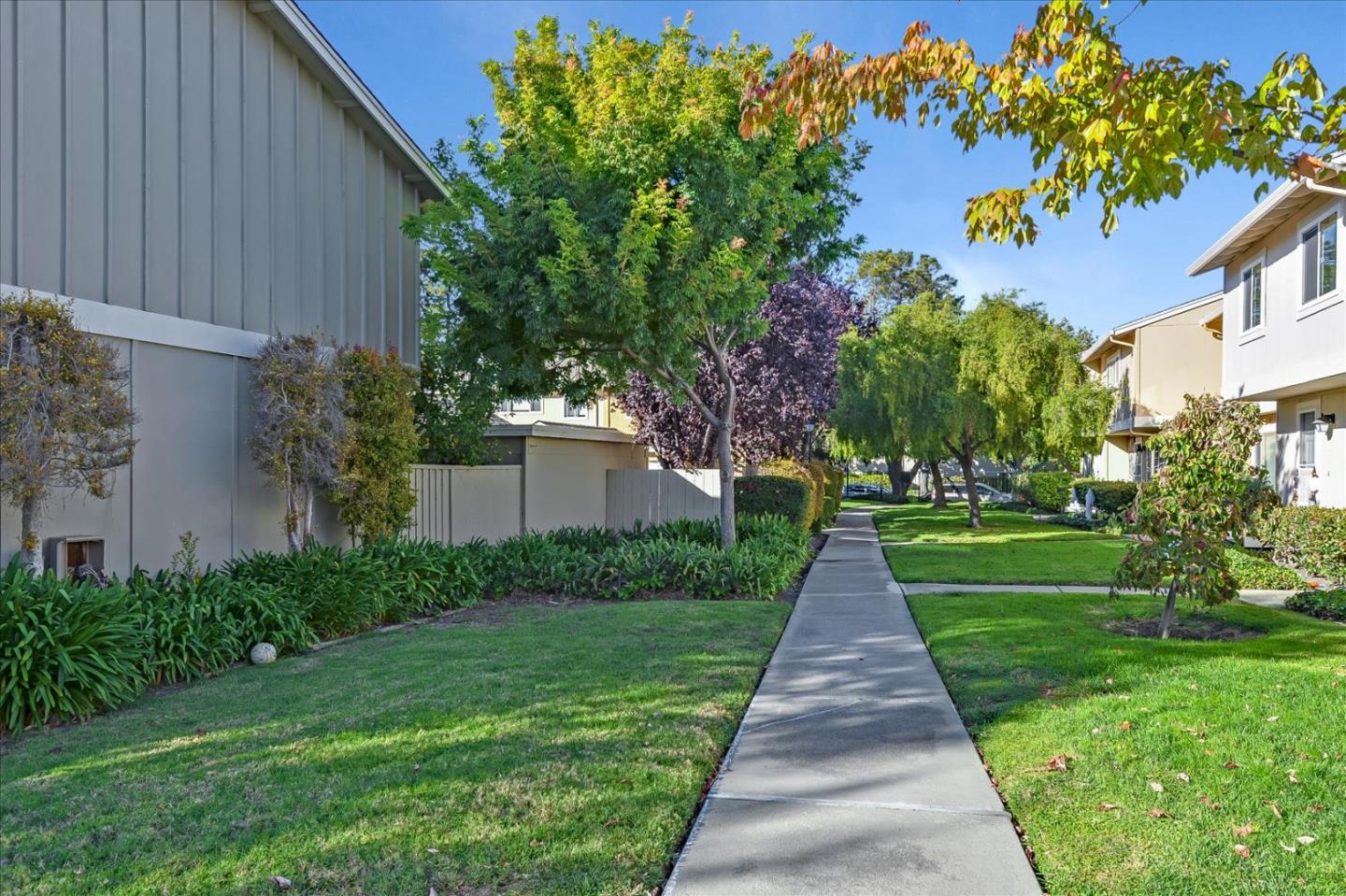 38 Saw Mill LN