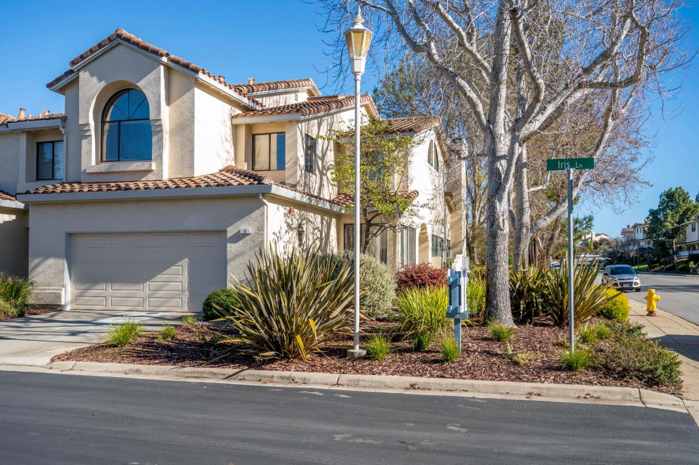 1 Iris LN