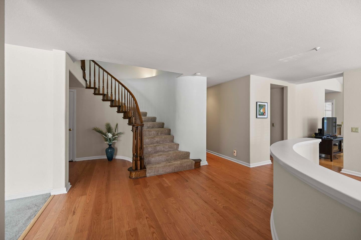 1 Iris LN