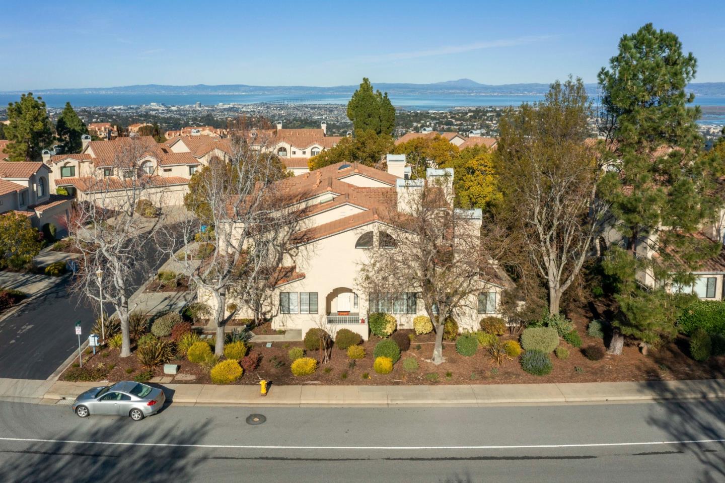 1 Iris LN