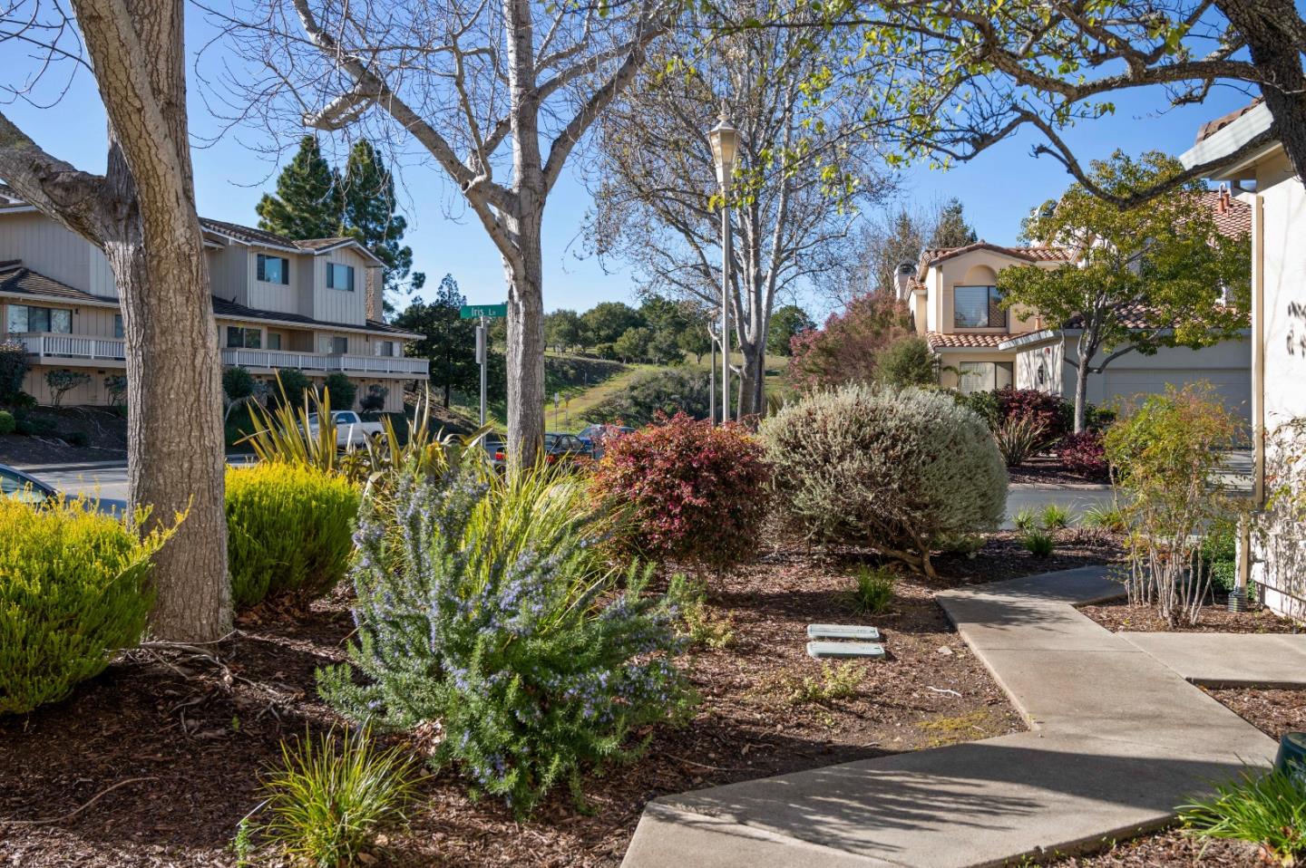 1 Iris LN