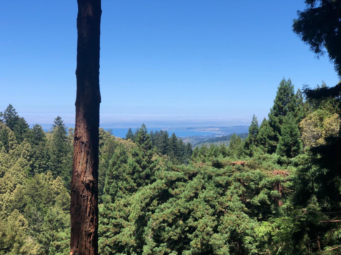 14732 Skyline BLVD