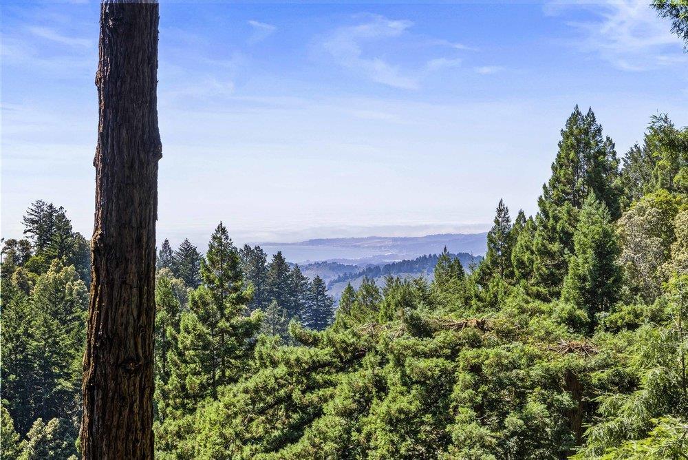 14732 Skyline BLVD
