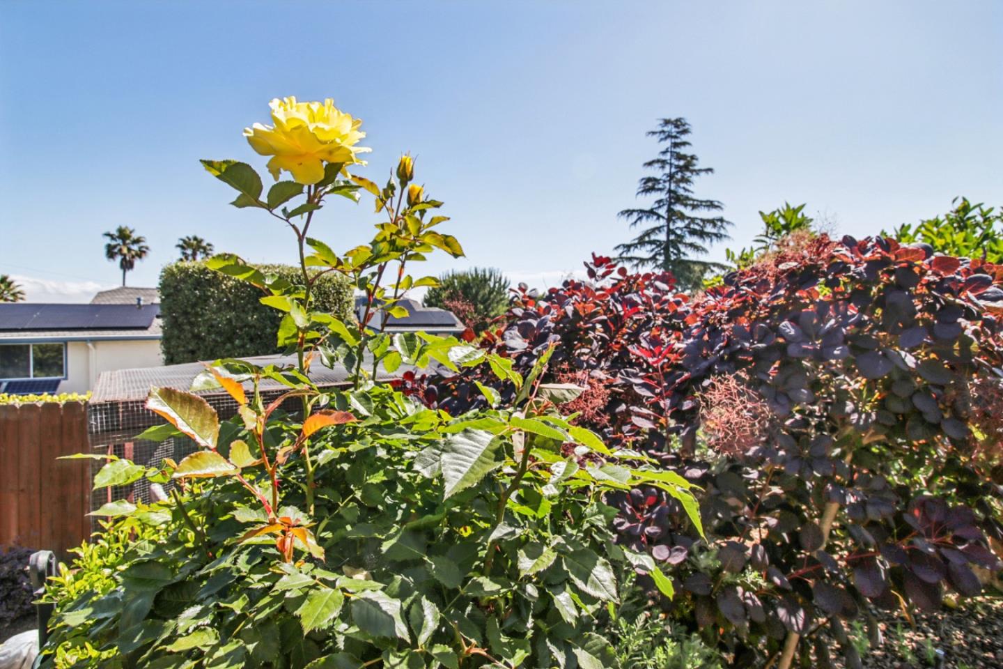 733 Temescal Way
