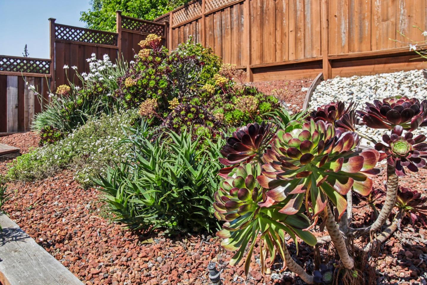 733 Temescal Way