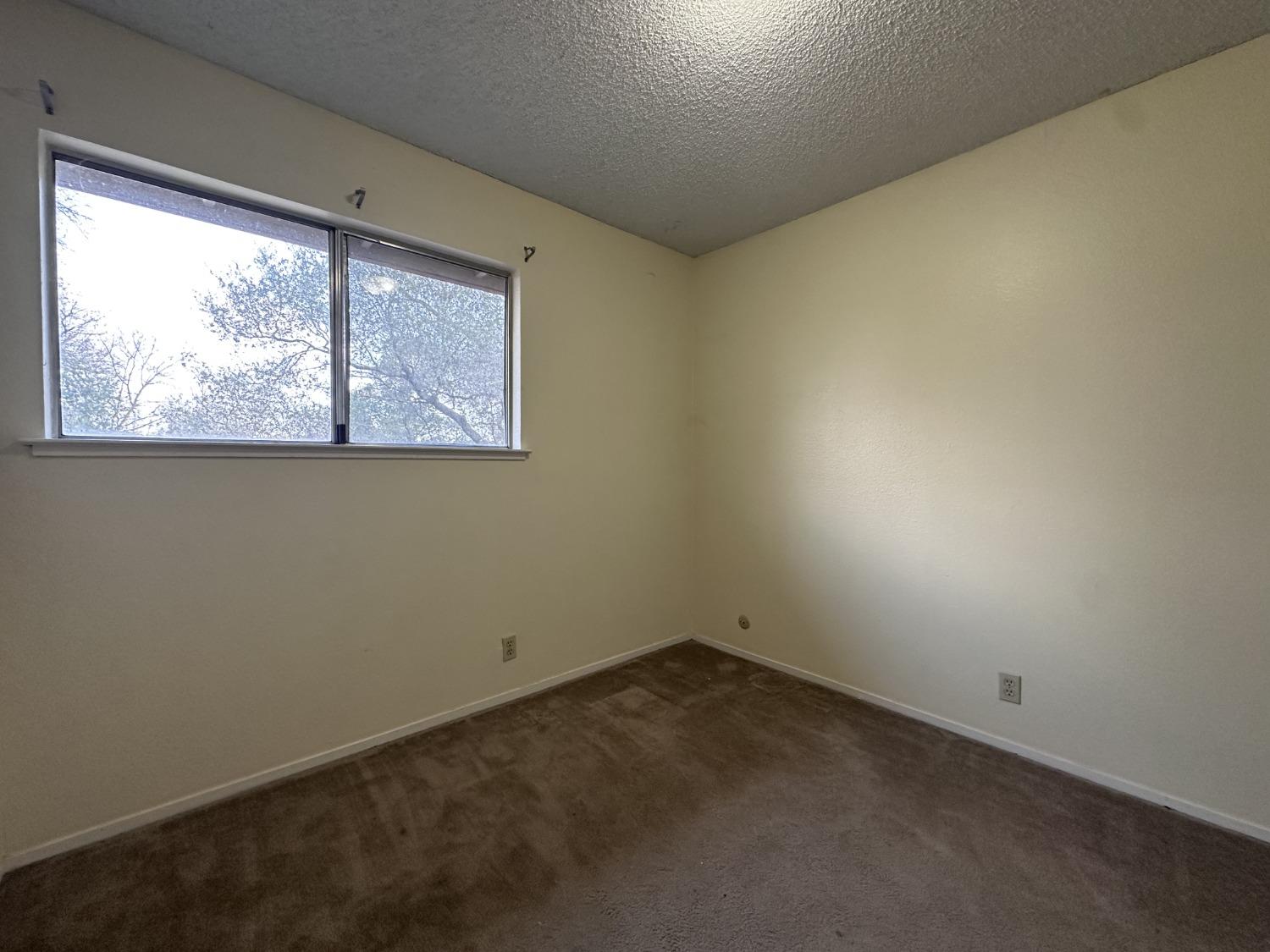 5808 Shadow Creek Drive 2