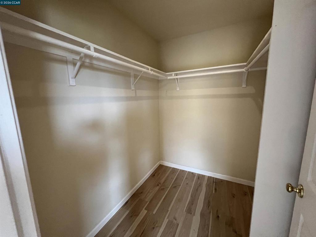 151 Daniels Ave