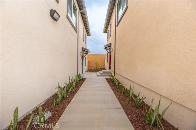 8189 Aventus LN