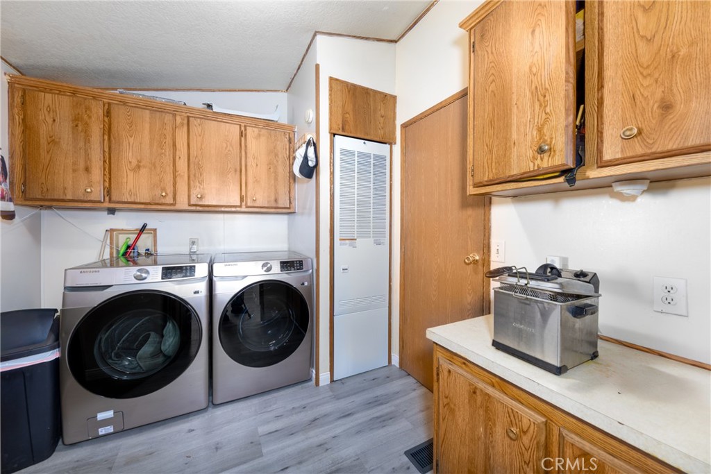 30803 Silver Palm Drive
