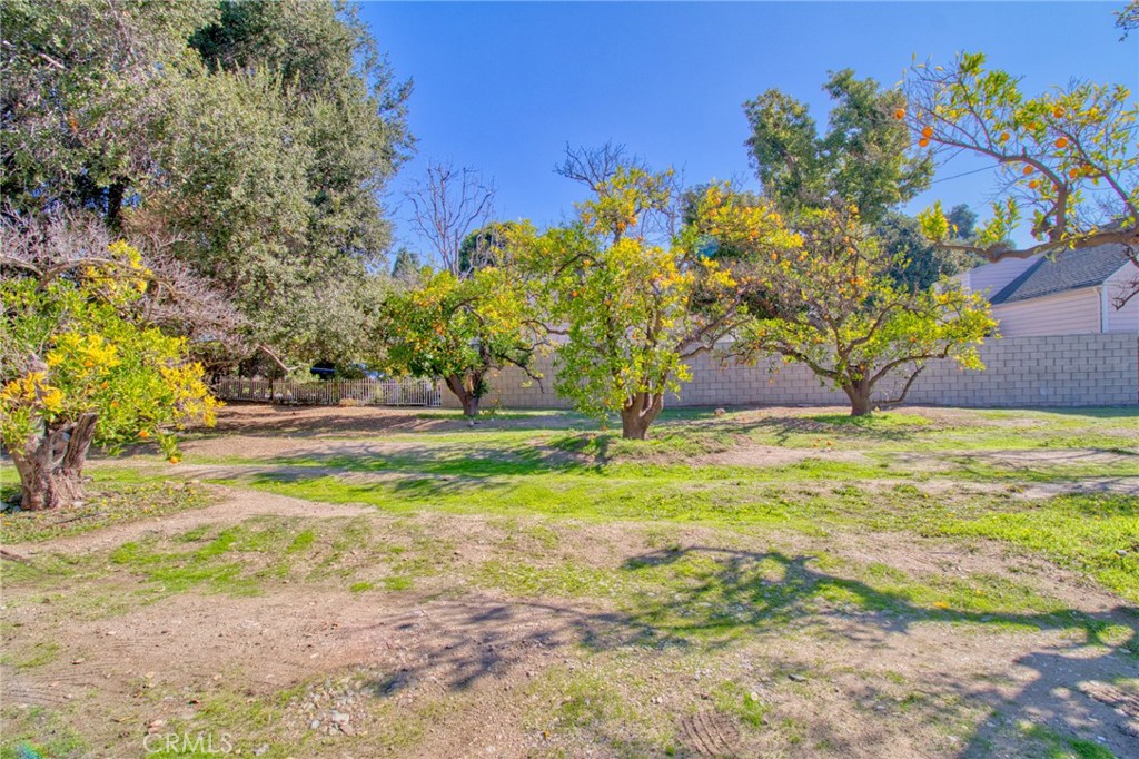 231 W 6th Street
