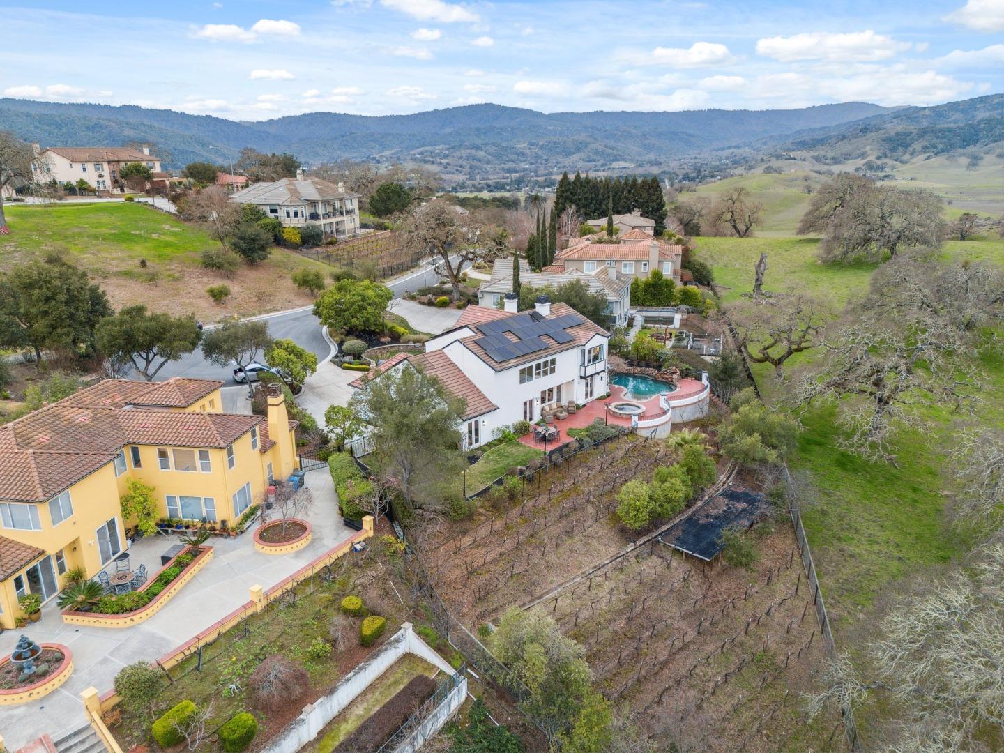 2325 Olea Court