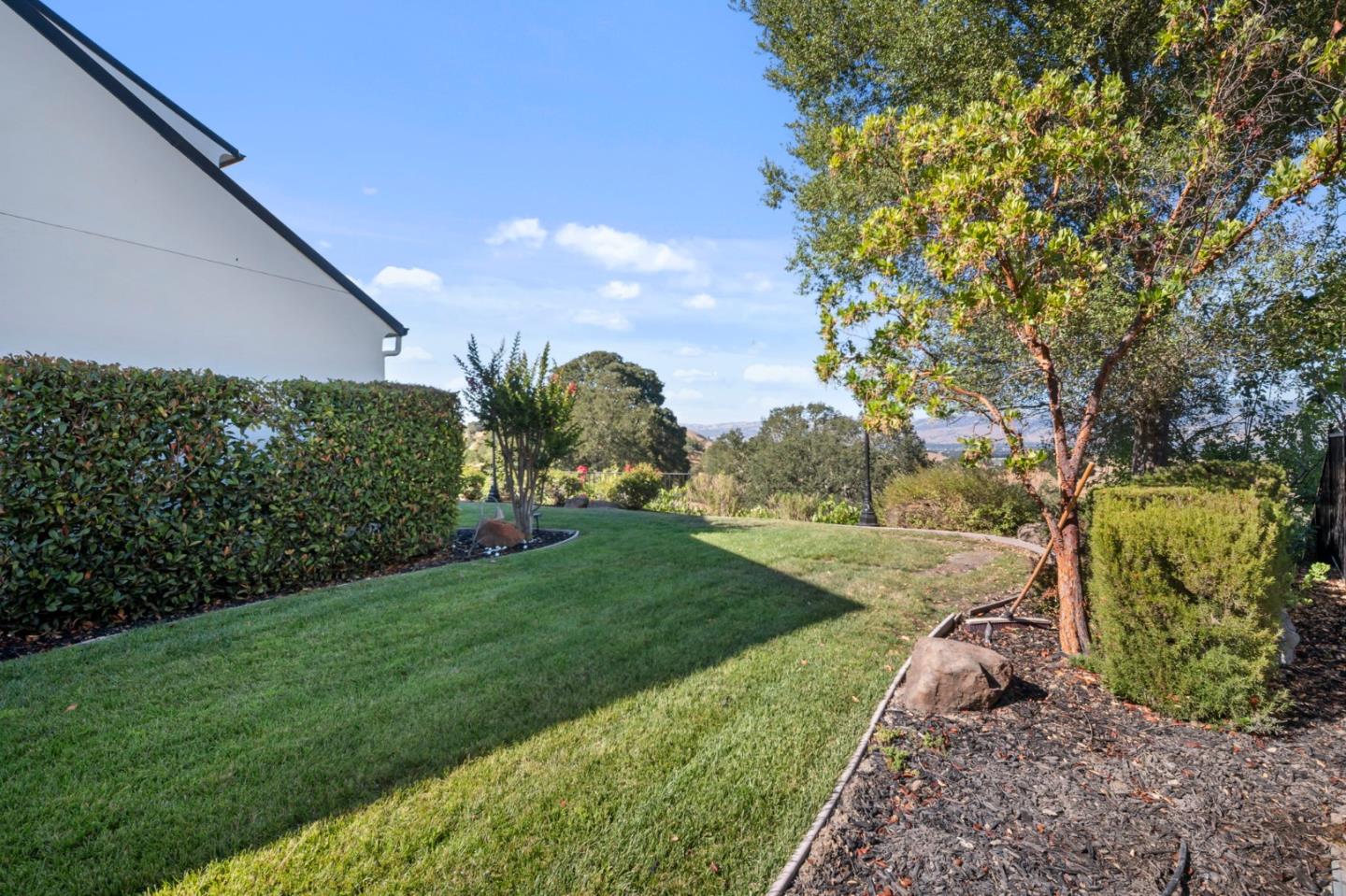 2325 Olea Court