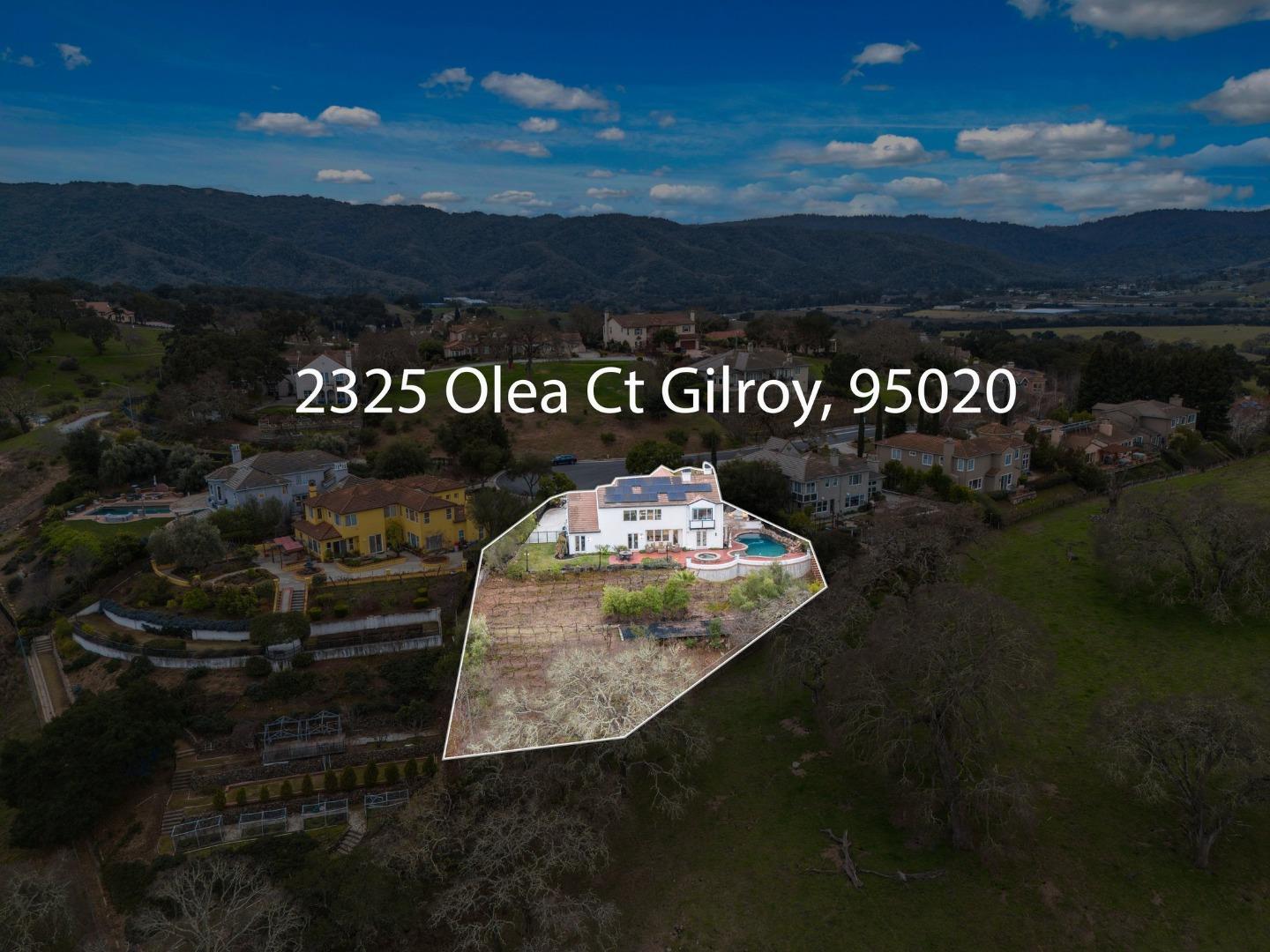 2325 Olea Court