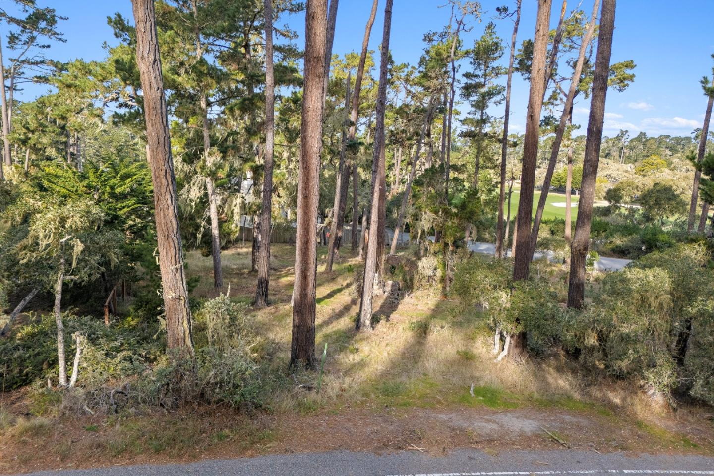 2901 Bird Rock Road