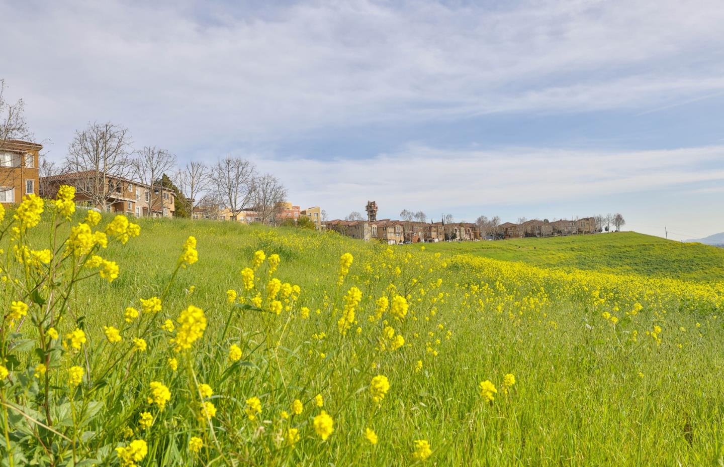 2986 Valley Of Hearts Del Place