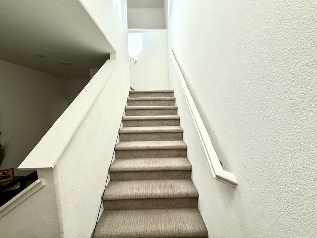 531 Gabriele CT