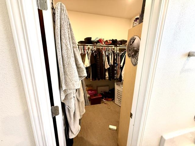531 Gabriele CT