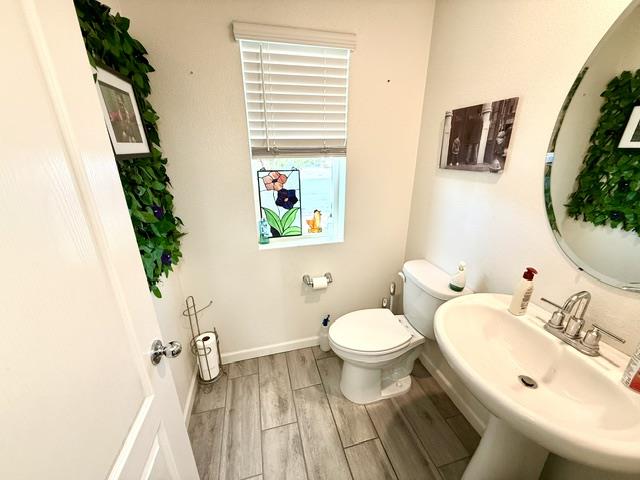 531 Gabriele CT