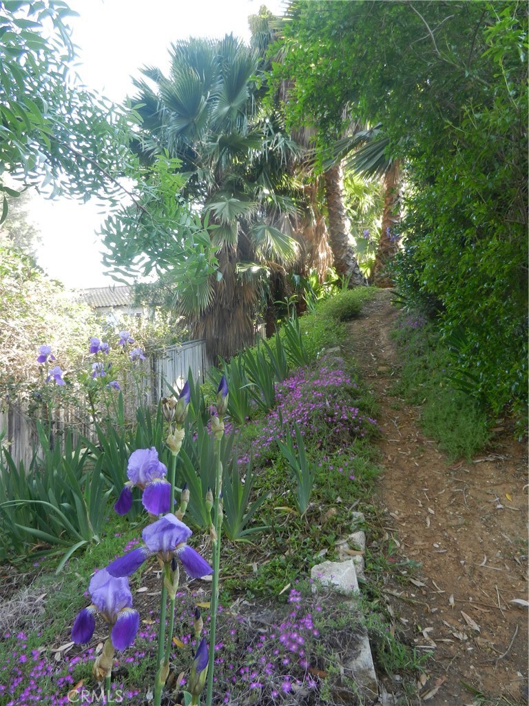 5910 Avenue Juan Bautista