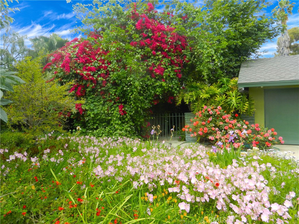 5910 Avenue Juan Bautista