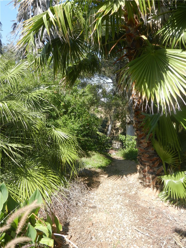 5910 Avenue Juan Bautista