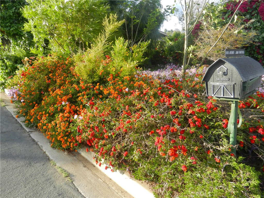 5910 Avenue Juan Bautista