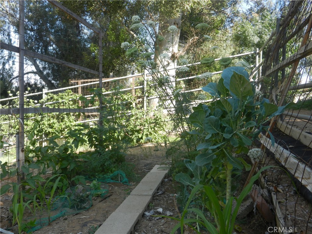 5910 Avenue Juan Bautista