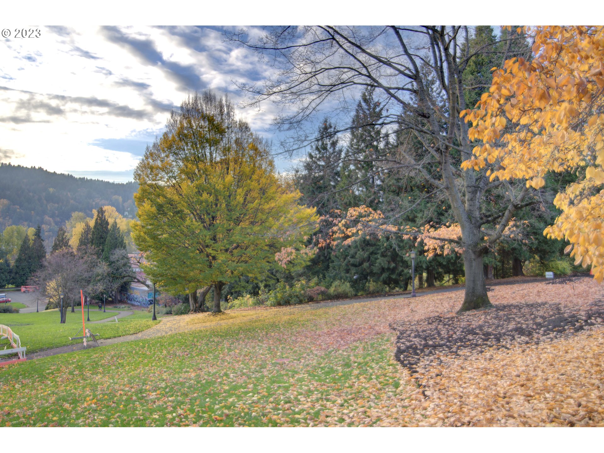 7537 N RICHMOND AVE 2