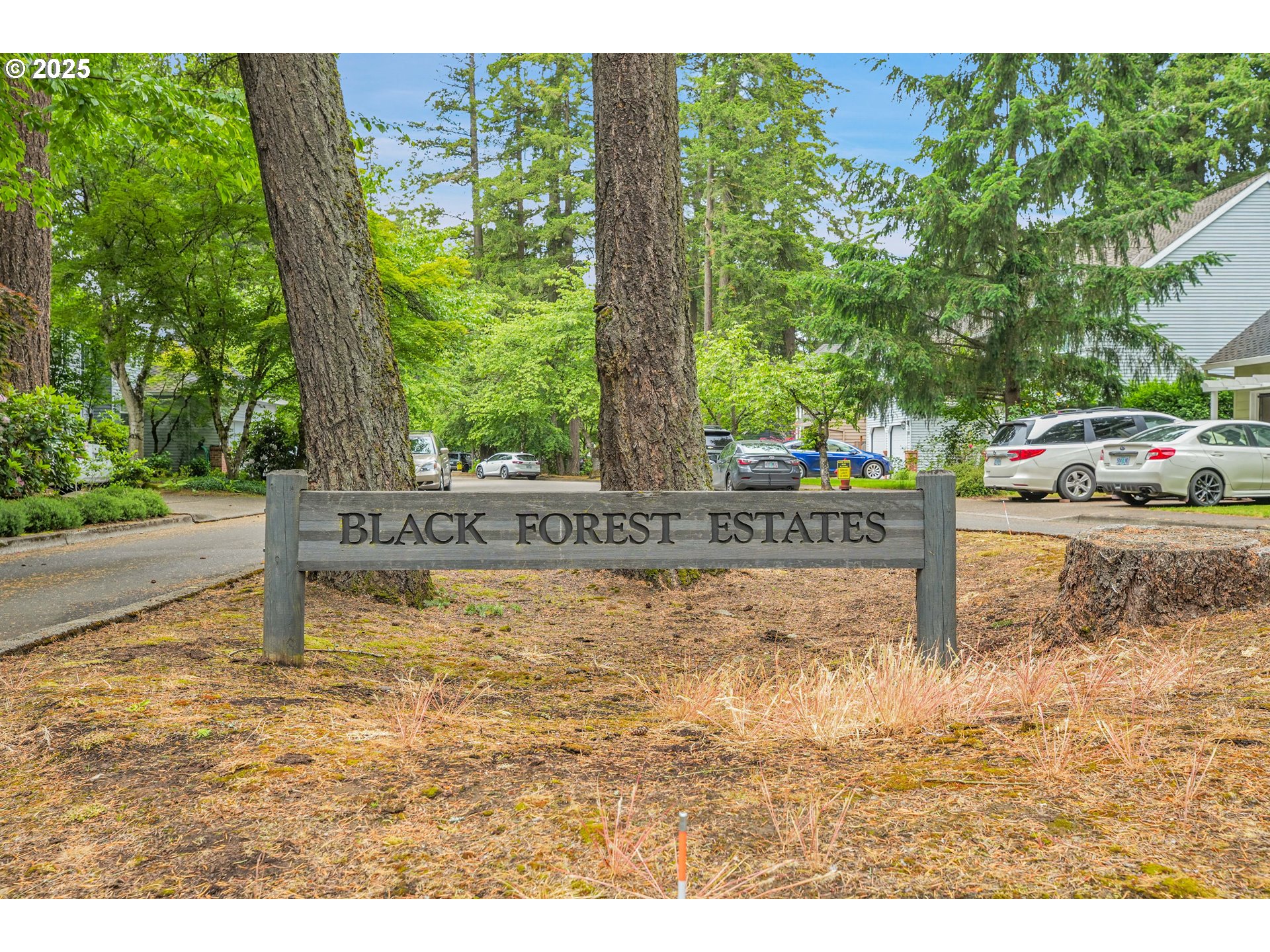 4698 BLACK FOREST CT