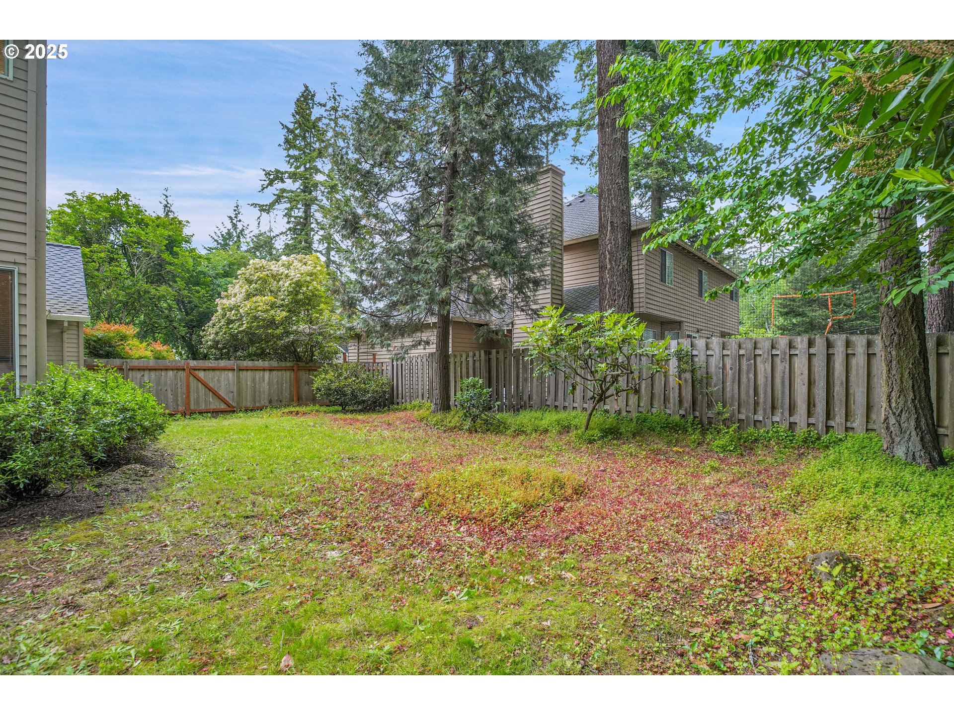 4698 BLACK FOREST CT