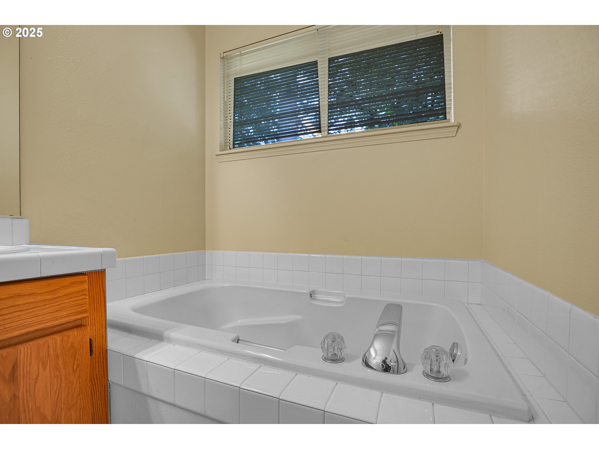 4698 BLACK FOREST CT